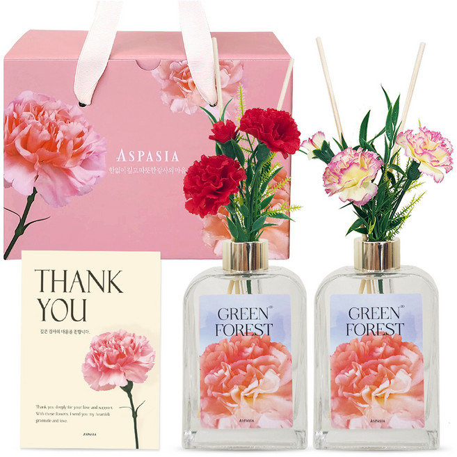 아스파시아 카네이션 디퓨저 2p 조화 부쉬 핑크세트, 1세트, 그린포레스트