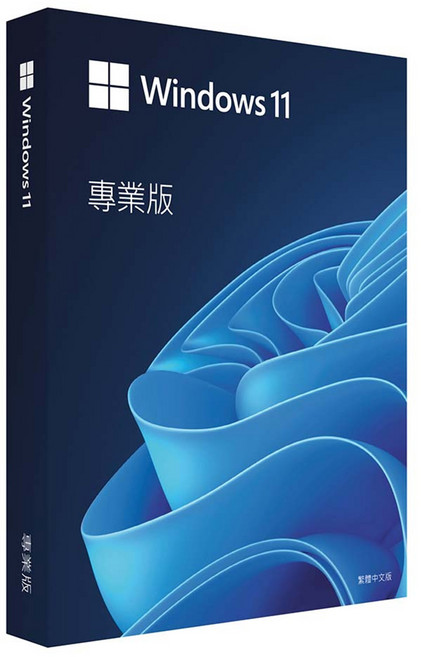 Microsoft 微軟 Windows 11 專業中文版, X22-95530-01