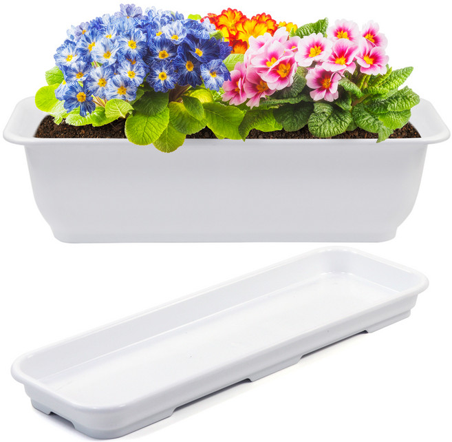 화분월드 라운드 직사각 뷰티 6호 + 받침, 순수화이트, 1개
