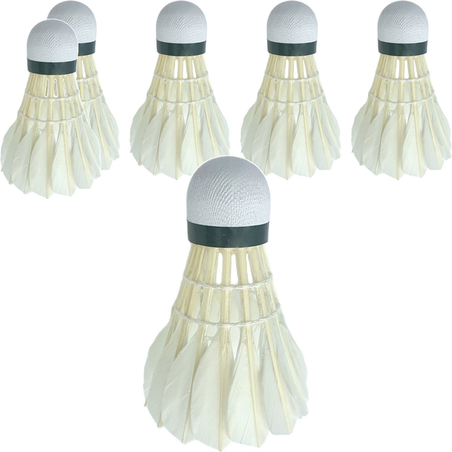 Her-Ea 禾亦 發泡羽毛球 鴨毛材質 發泡球頭 台灣產, 白色, 6顆, 1組