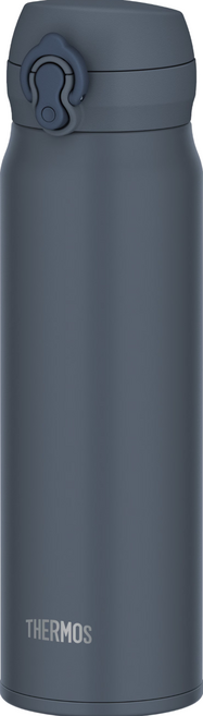 THERMOS 膳魔師 保溫瓶 JNL-S600, 灰色, 600ml, 1個