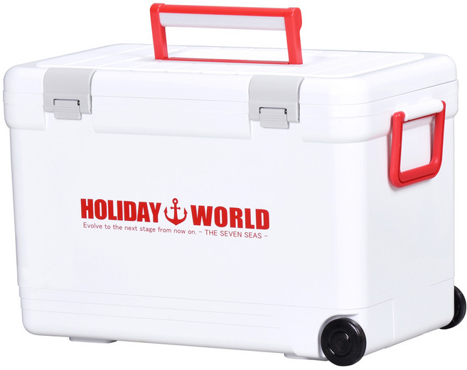 SHINWA 홀리데이 월드 아이스박스 + 아이스팩 750, 화이트, 33L