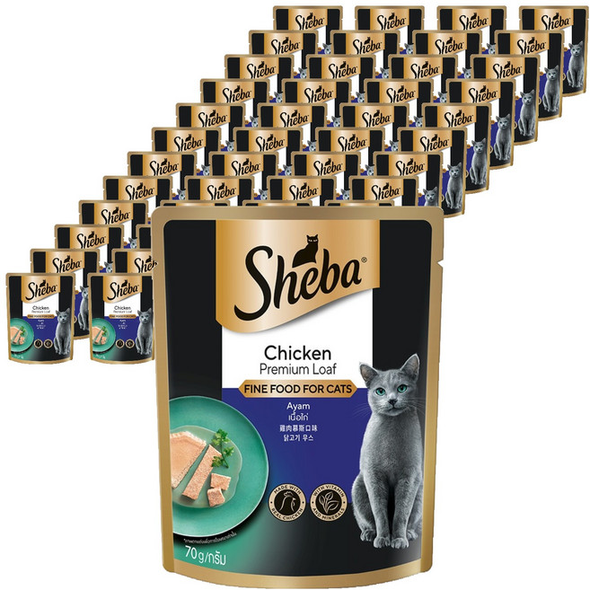 쉬바 1세이상 고양이 간식 파우치, 닭, 70g, 48개