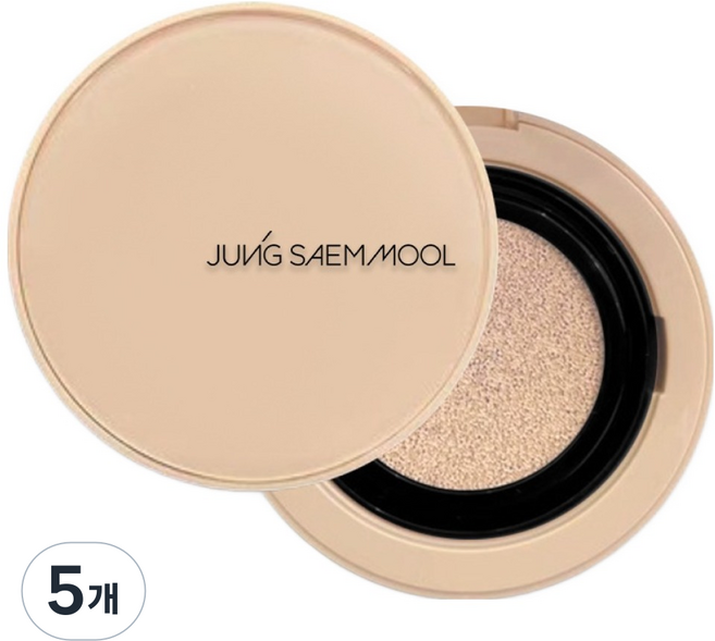 정샘물 스킨 누더 쿠션 컨실러 10g, 라이트, 5개