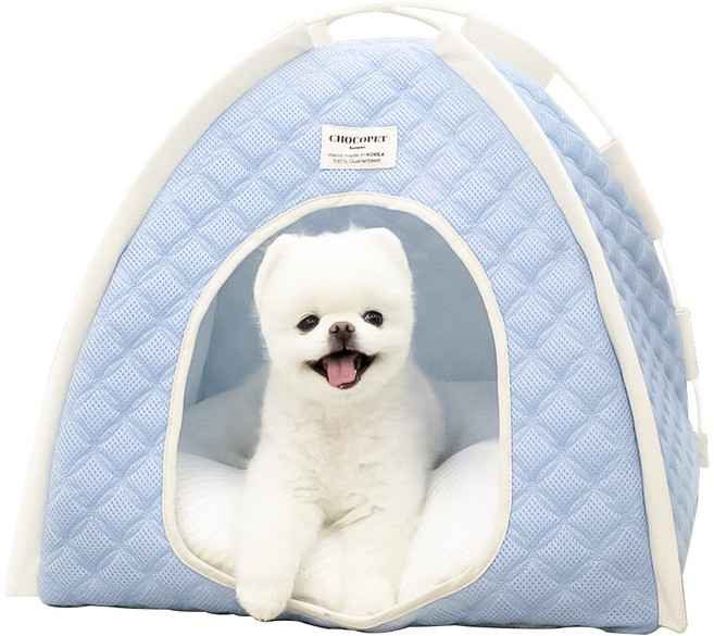 초코펫하우스 강아지 여름 쿨링 얼음의집, 스카이블루, 1개