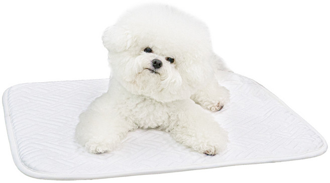 초코펫하우스 강아지 듀라론 아이스 쿨매트, 1개