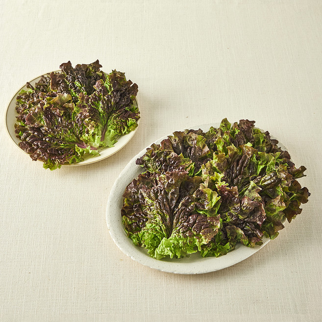 국내산 친환경 적상추, 200g, 1개