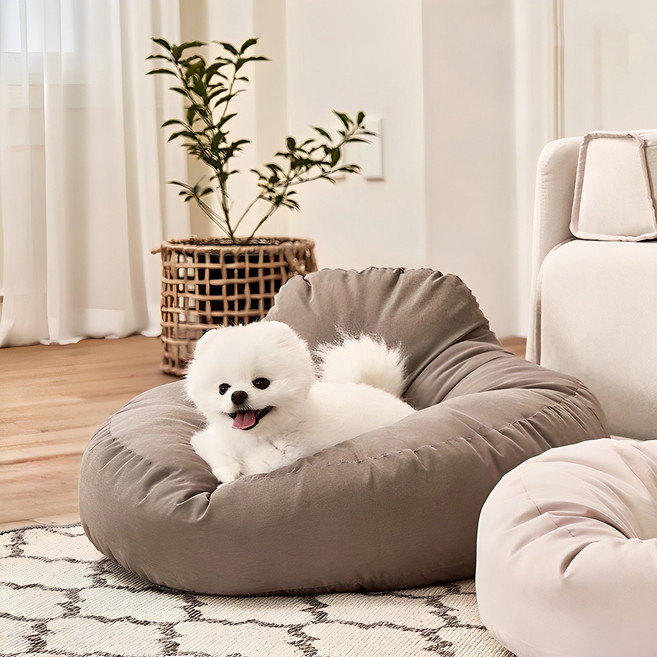 울리 펫빈백, 모카, 1개