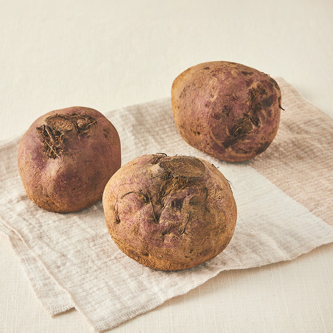 친환경 비트, 1.2kg, 1개