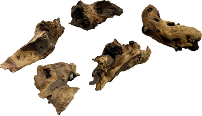 샘아쿠아 아프리카 모파니 유목 5p, 1개