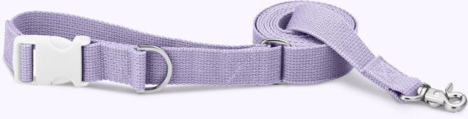 네오핏 반려동물 기본고리 멀티 리드줄, 퍼플, 1개