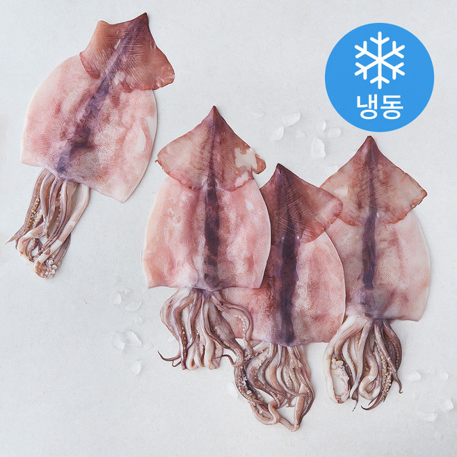 서풍앤쿡 국산 손질 오징어(냉동), 1kg, 1개