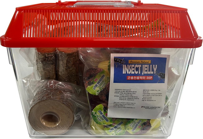 벅스킹덤 사슴벌레 레드 사육세트, 1세트