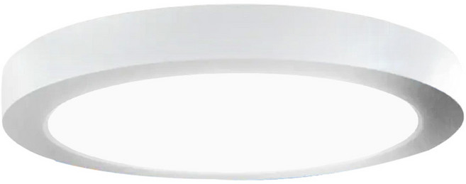 DANCELIGHT 舞光 LED 薄型吸頂燈 12W 白光 LED-21028DR3, 時尚白