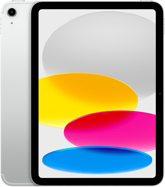 Apple 2025 아이패드 (A16 모델), 실버, 256GB, Wi-Fi+Cellular