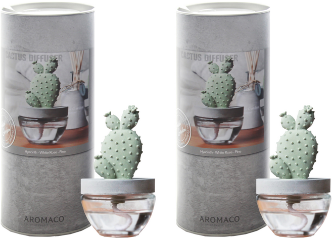아로마코 선인장 디퓨저, 잉글리쉬가든, 100ml, 2개