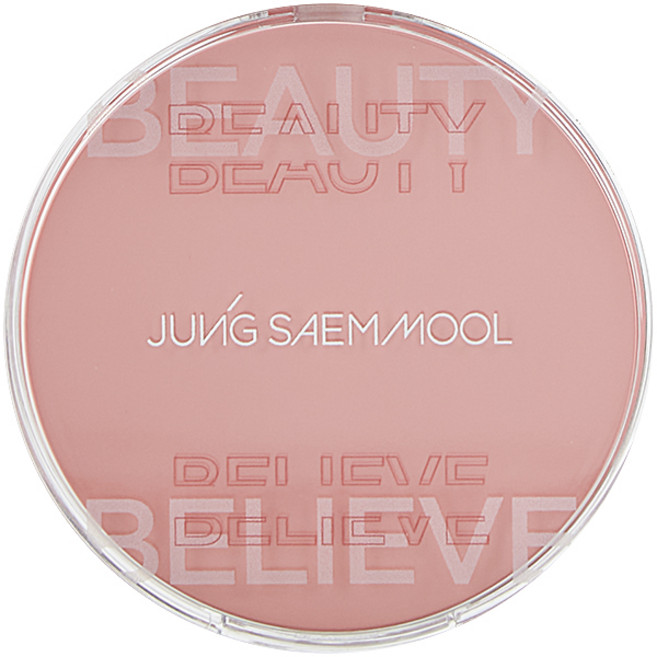 정샘물 아티스트 쿠션 블러쉬 4g, 코랄 헤일로, 1개