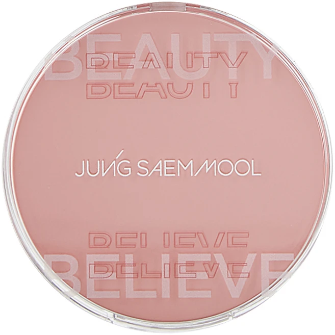 정샘물 아티스트 쿠션 블러쉬 4g, 코랄 헤일로, 1개 - 쿠팡