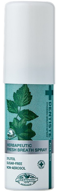 덴티스테 브레스 구강스프레이, 15ml, 1개