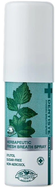 덴티스테 브레스 구강스프레이, 15ml, 1개 - 쿠팡