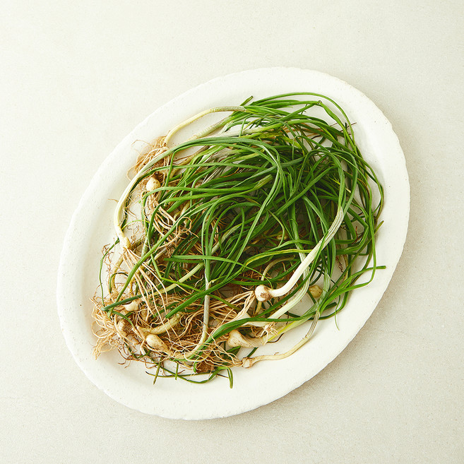 국내산 산달래, 1개, 150g