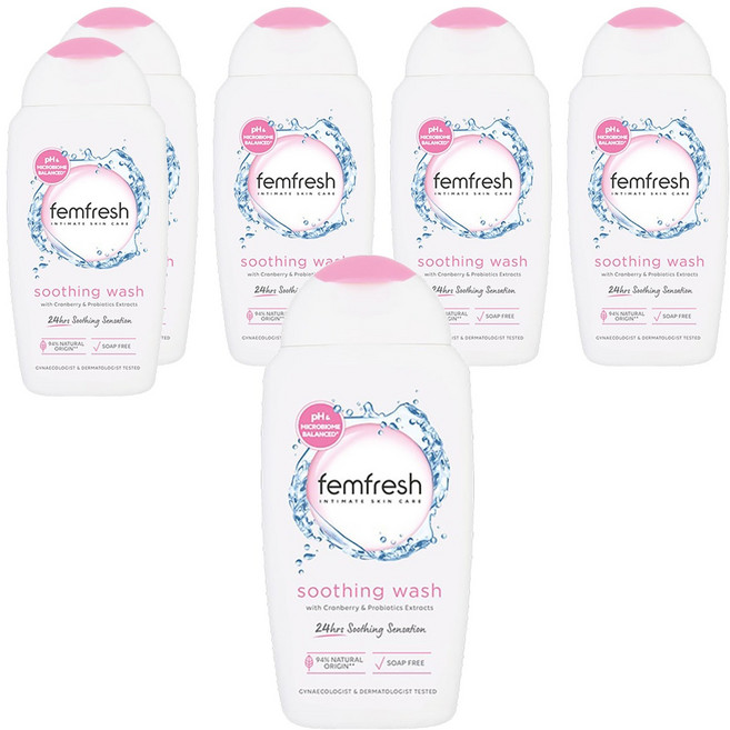 펨프레쉬 수딩워시 데일리 여성청결제, 250ml, 6개