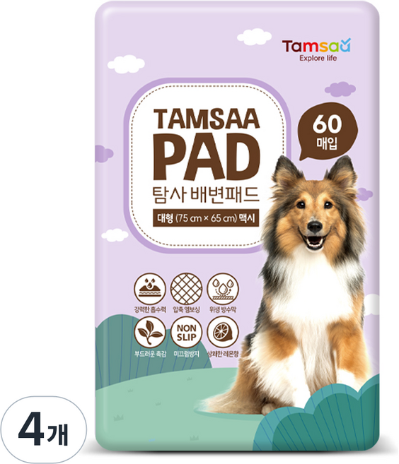 탐사 배변패드 맥시, 60개입, 4개