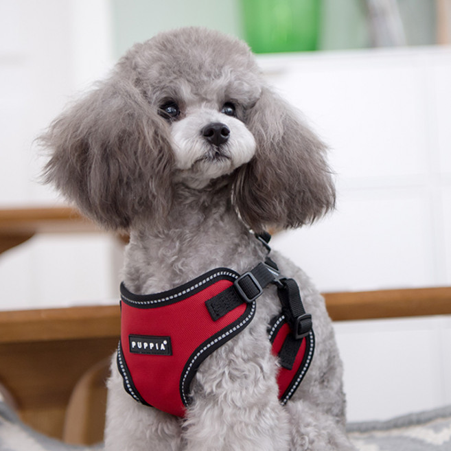 퍼피아 올치 강아지 빛 반사 트렉 하네스 C형, 레드