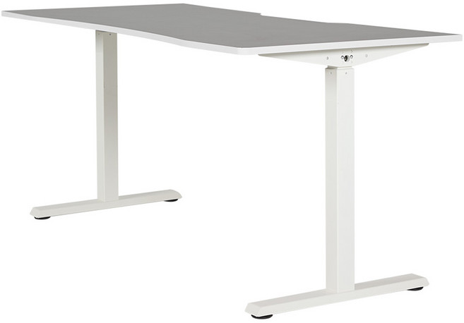 제닉스 아레나 엑스 전동 모션 데스크 방문설치, 화이트 + 화이트