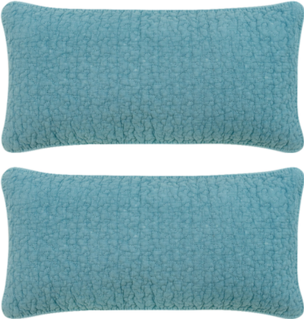 쉬즈홈 힐링 피그먼트 순면 메밀 베개 커버 + 속통 세트, 진블루, 2개