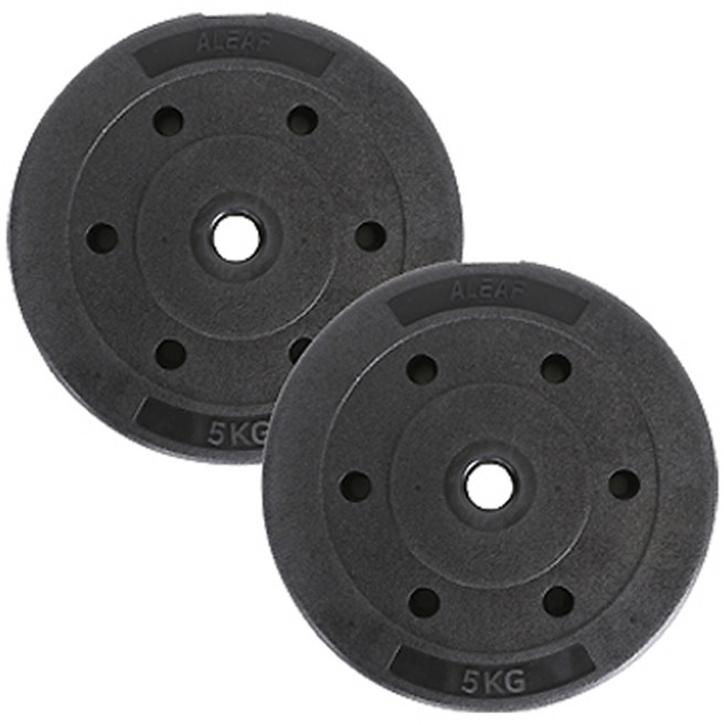 아리프 플렉스 원판, 5kg, 2개