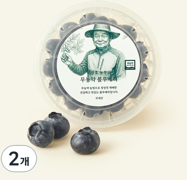 이광호 농부의 무농약 왕블루베리, 100g, 2개