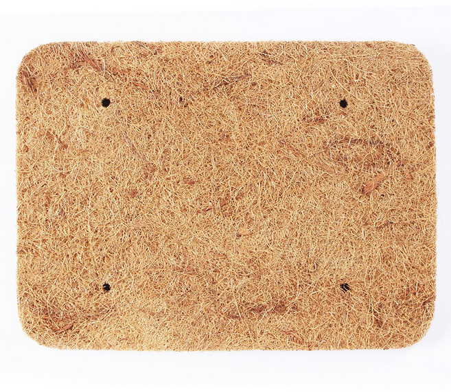 花公主 天然椰纖板 長33X寬25.5X厚3 (CM) 台灣產, 1個