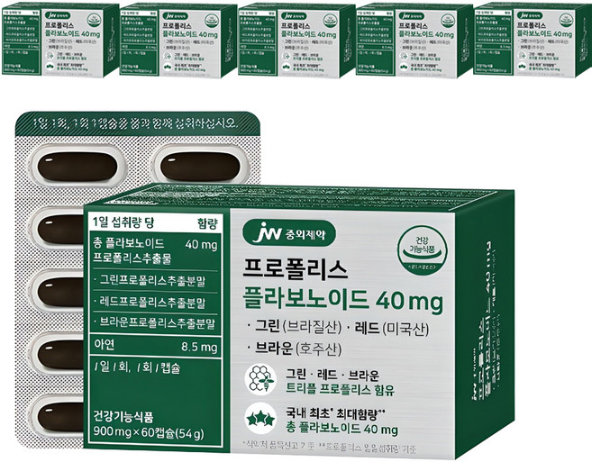 JW중외제약 프로폴리스 플라보노이드 40mg, 60정, 6개