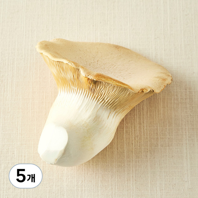 국내산 친환경 황제버섯, 180g, 5개