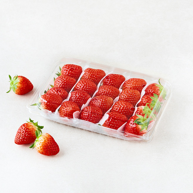 곰곰 설향딸기, 500g(L), 1팩