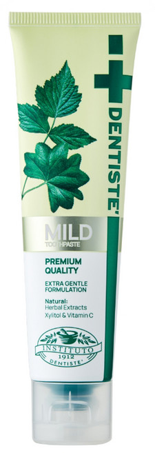 덴티스테 마일드 나이트타임 치약 튜브형, 100g, 1개