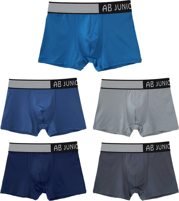 아날도바시니 주니어 학생 드로즈 사각팬티 5종 세트 JP2901