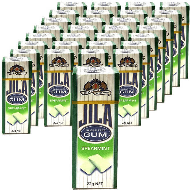 자일라 스피어민트 껌, 22g, 36개