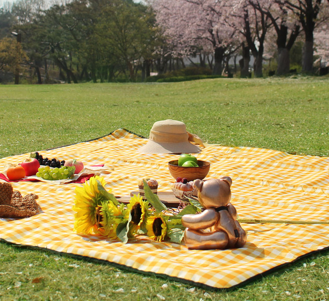 까사재클린 캠핑 피크닉 방수 돗자리, 옐로