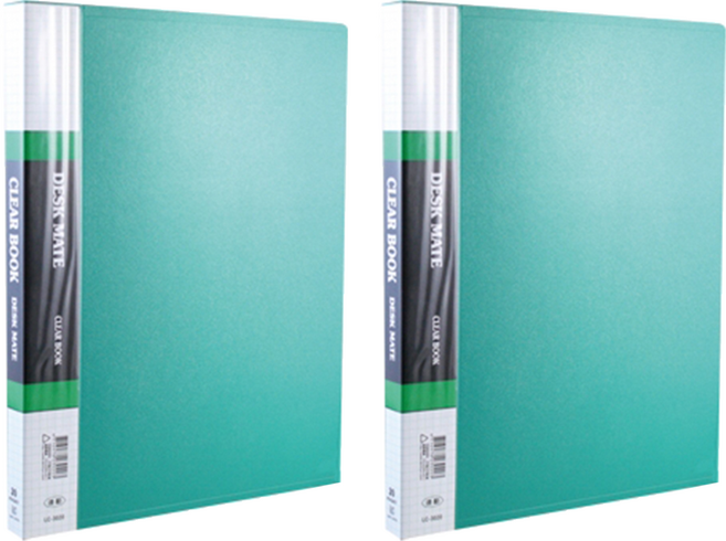 SUANDER 雙德文具 PP主色板資料簿 附盒 SD100A C-4 A4, 綠色, 100張, 2本