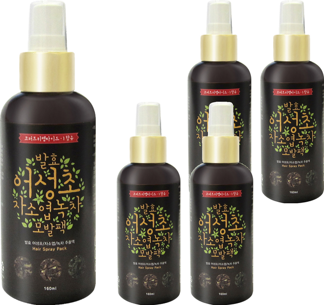 갑당약초 어성초 자소엽 녹차 모발 스프레이 팩, 160ml, 5개