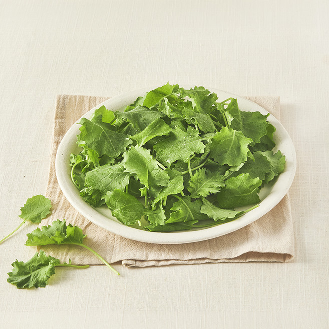 국내산 친환경 베이비케일, 50g, 1개