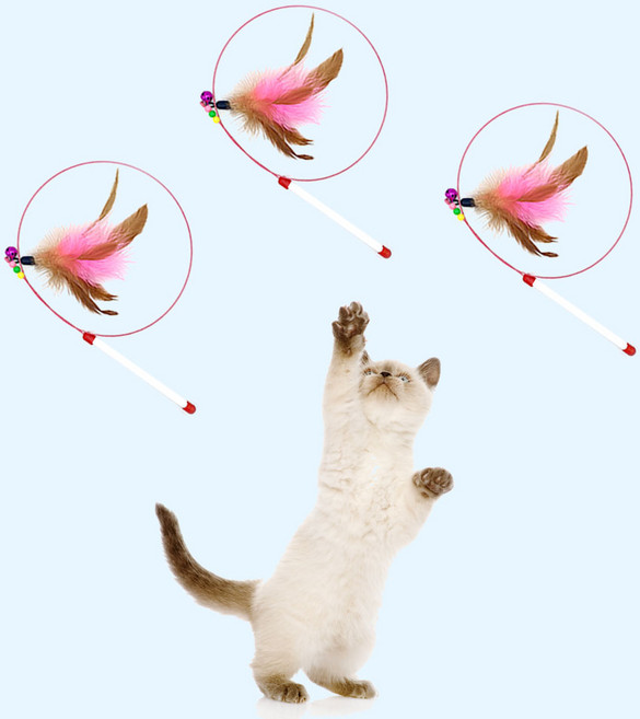 네이처펫 냥냥이 비즈 와이어 깃털 낚시대, 혼합색상, 3개