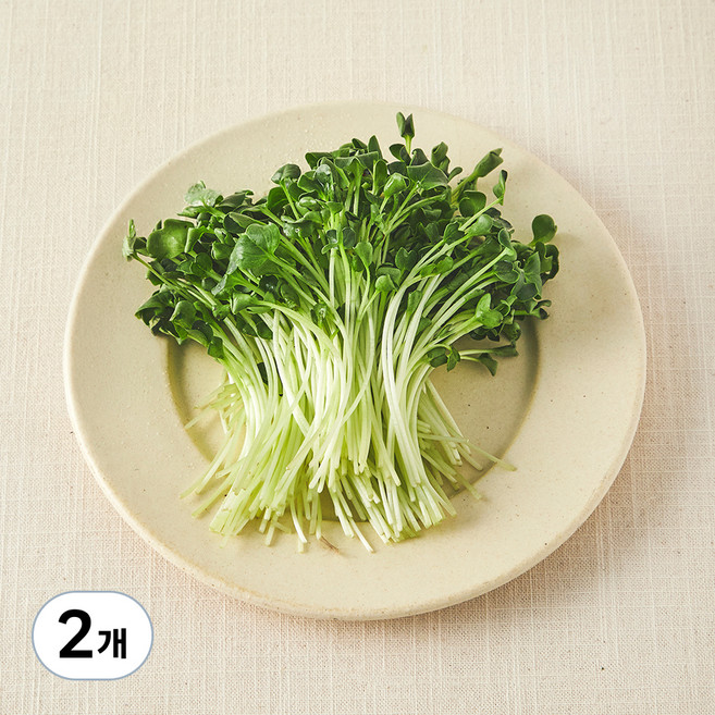 친환경 무순, 2개, 30g