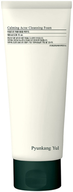 편강율 진정 아크네 클렌징폼, 100ml, 1개