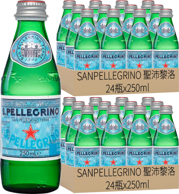 SANPELLEGRINO 聖沛黎洛 天然氣泡礦泉水, 250ml, 48瓶