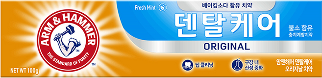 암앤해머 덴탈케어 오리지날 치약, 100g, 1개