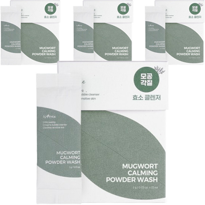 이즈앤트리 머그워트 카밍 파우더 워시 효소 클렌저, 25g, 4개