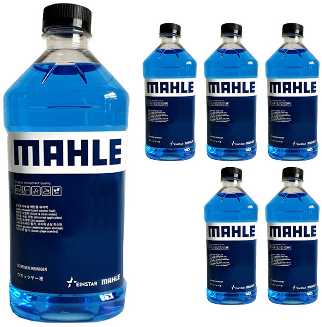 말레 에탄올 워셔액 청포도향, 2L, 6개